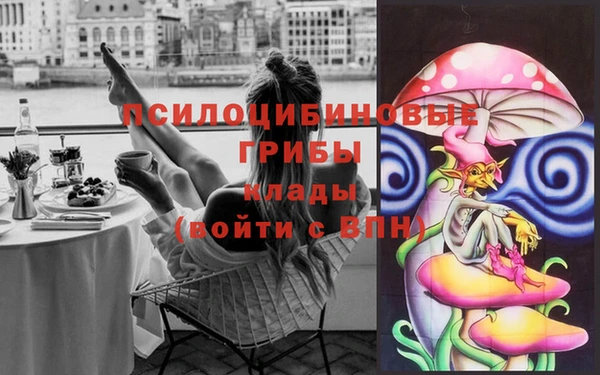 альфа пвп Ивангород